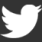 �cone do Twitter